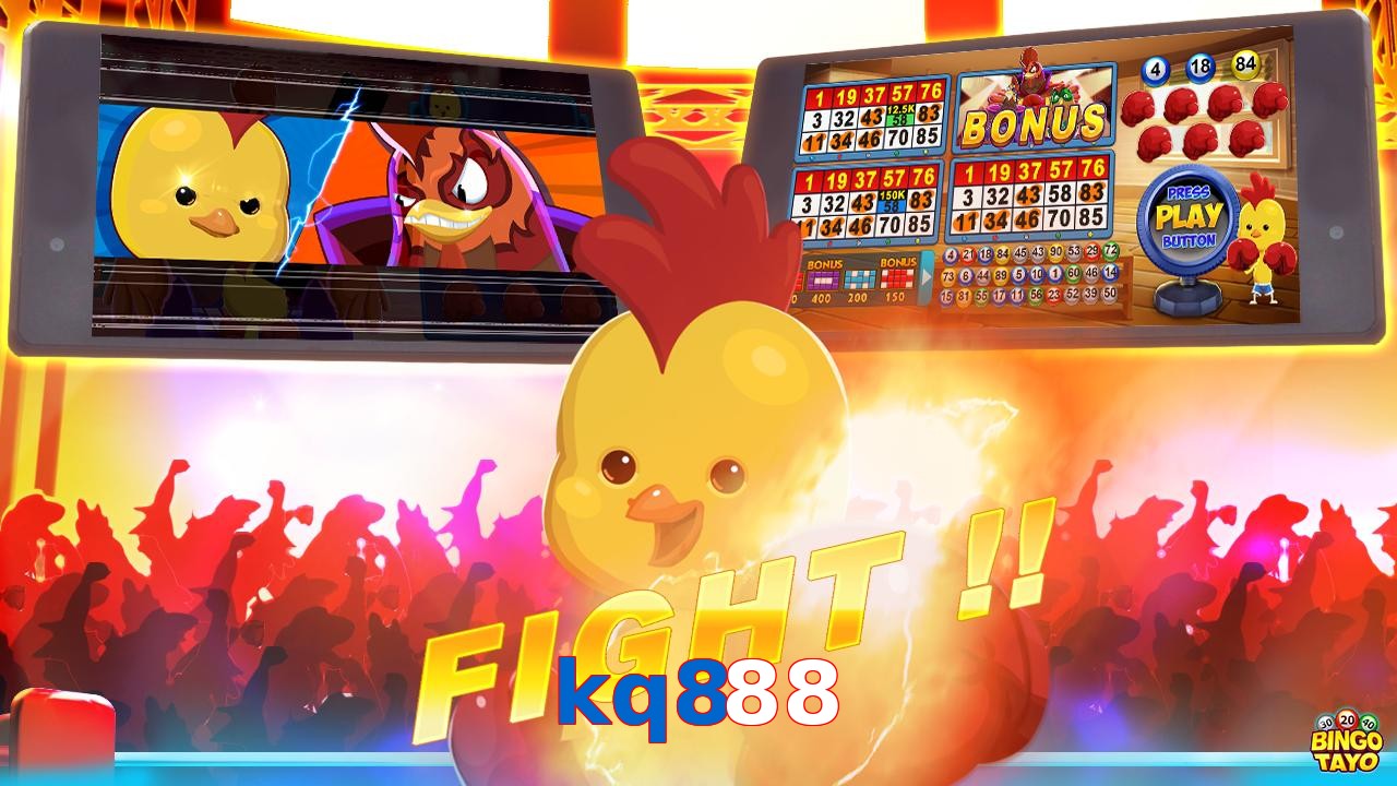 kq888