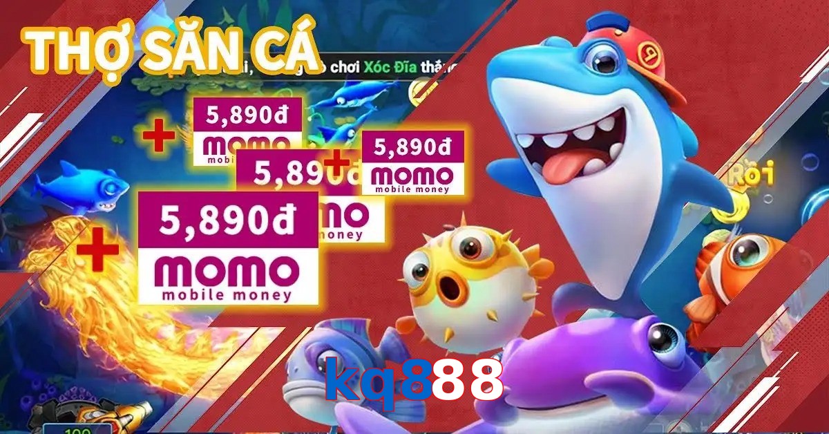 kq888