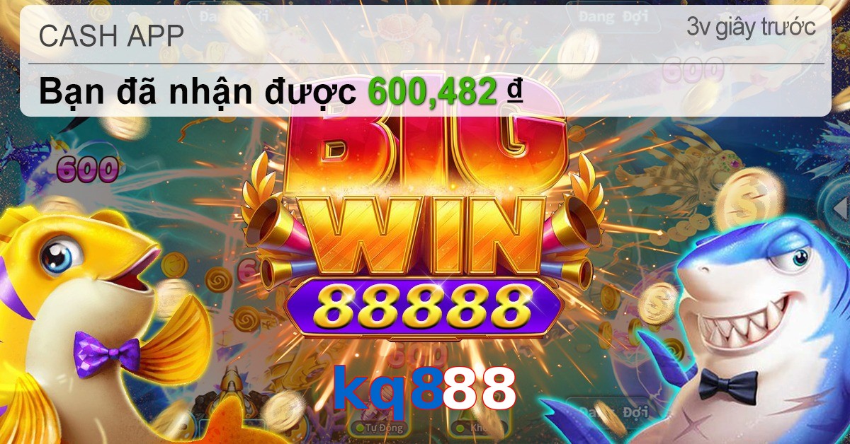kq888